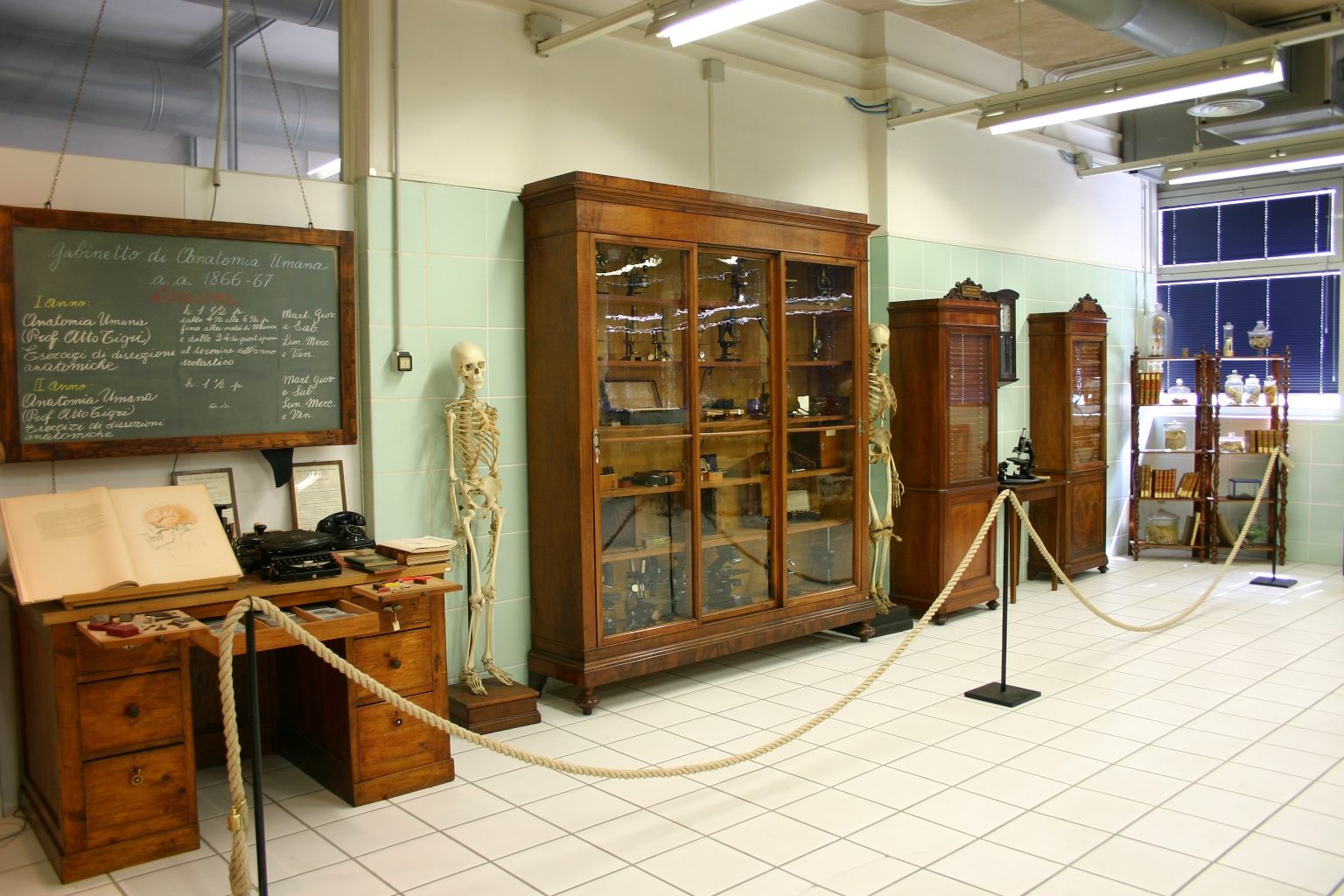 Museo%20Anatomico%2C%20Siena%2C%20Italy%20-%2006.JPG